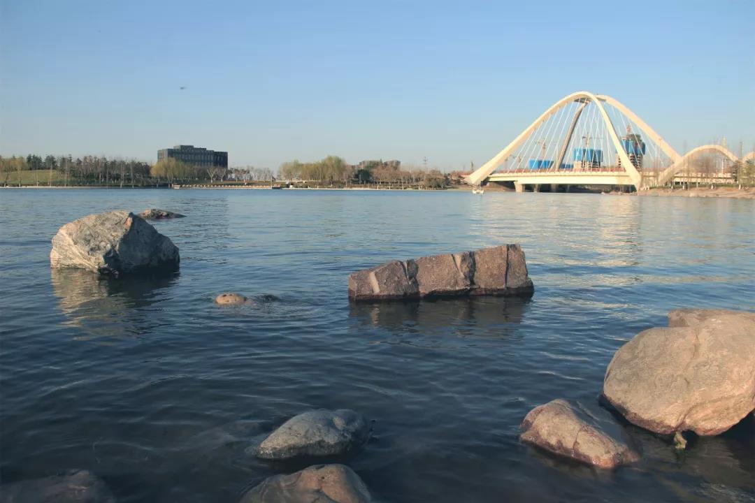千畝生態(tài)水系實景圖.jpg