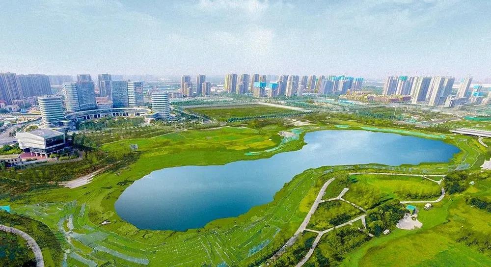 濱河國際新城夏天實(shí)景