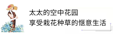 微信圖片_20200701175627.jpg
