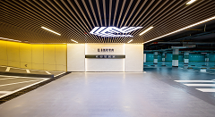 1666585400323217.png 337A9451.png