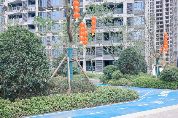 1697702672383076.jpg 12_001.jpg